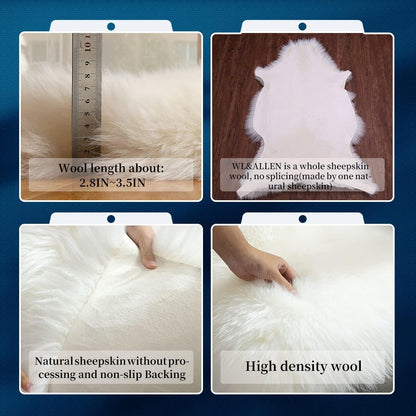 WL&ALLEN Sheepskin Rug - Genuine Thick & Lush 3 Inch Pile, Luxury Australian Pelts | Large Single Pelt 4'4" x 6'6", Ivory White