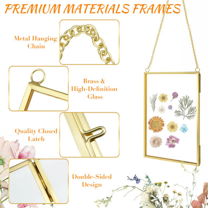 Pressed Flower Frames with Hanger & Tweezer & Dried Flowers, 4 x 6 Inch Wall Double Glass Floating Hanging Picture Photo Frame with Chain for Wall Decor and Display, Hanging Picture or Artwork (Gold)