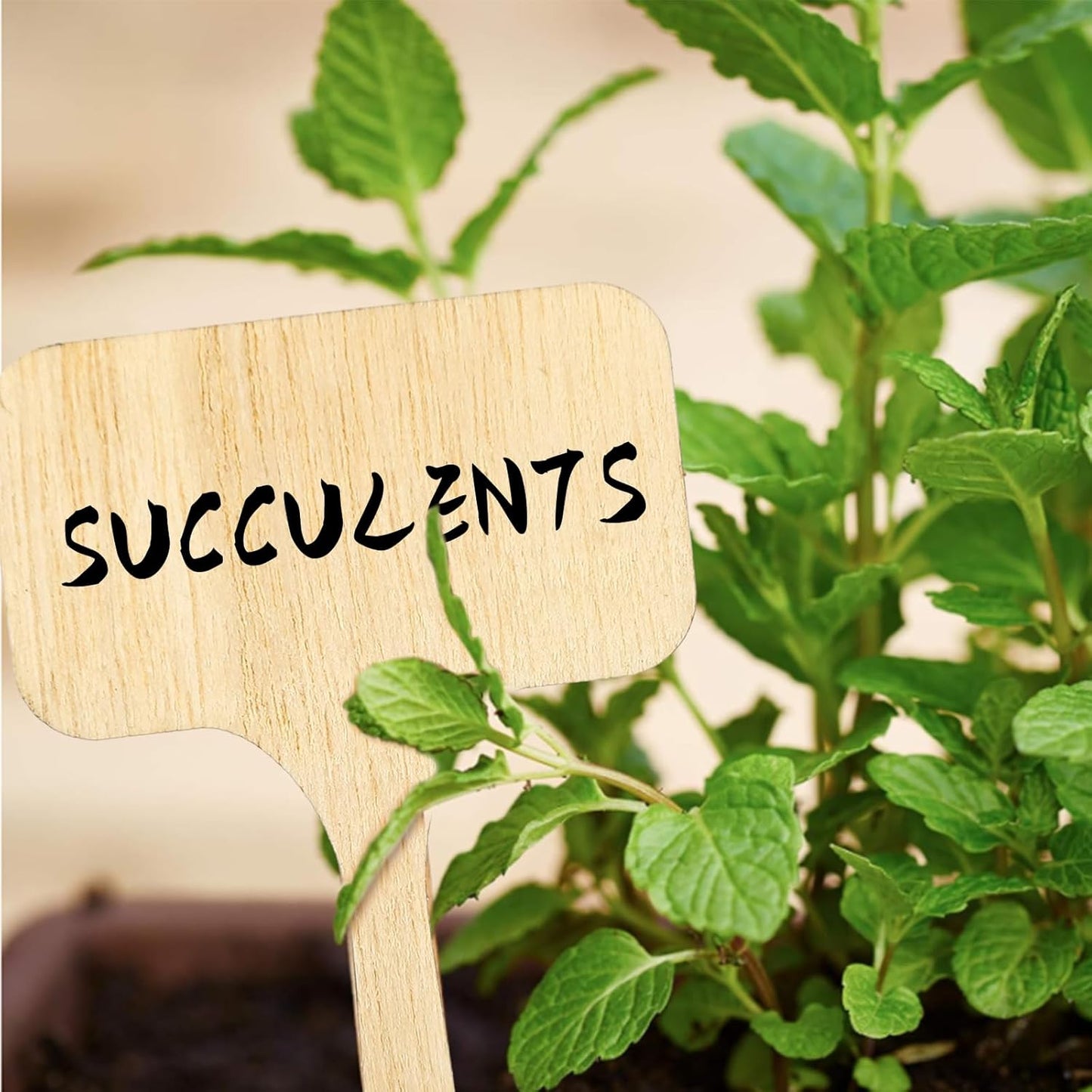Whaline 60Pcs Wooden Plant Labels with Marker Pen, Decorative Garden Markers for Herbs
