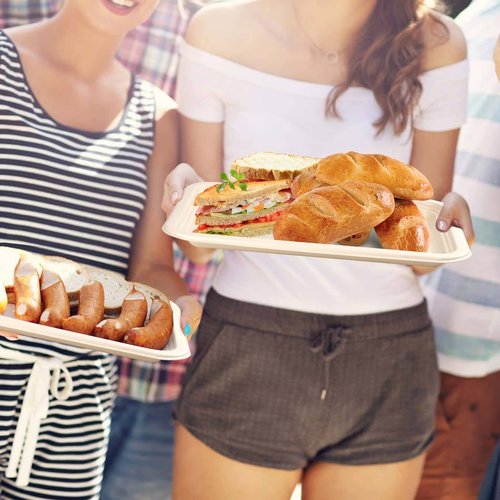 EcoAvance Large Paper Plates 14 Inch, 100 Pack Disposable Trays, Heavy Duty Dinner Size, Eco-Friendly Compostable Biodegradable, Strong Sturdy Brown