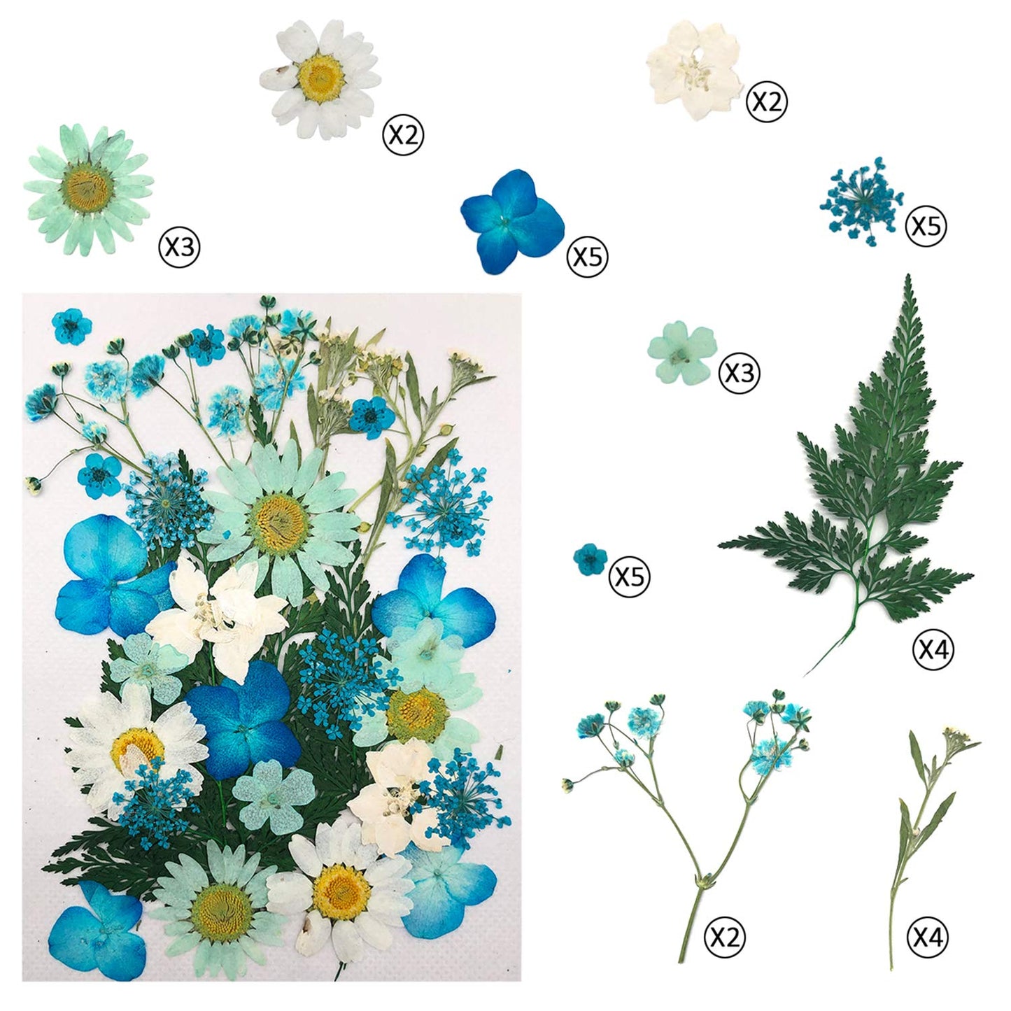 Cinvo 90 Pcs Real Dried Pressed Flowers and Leaves Natural Dried Petals for Candle Resin Jewelry Soap Nail Pendant Phone Case Crafts Making Floral Decors Scrapbooking DIY(Blue, Purple, Pink, Green)