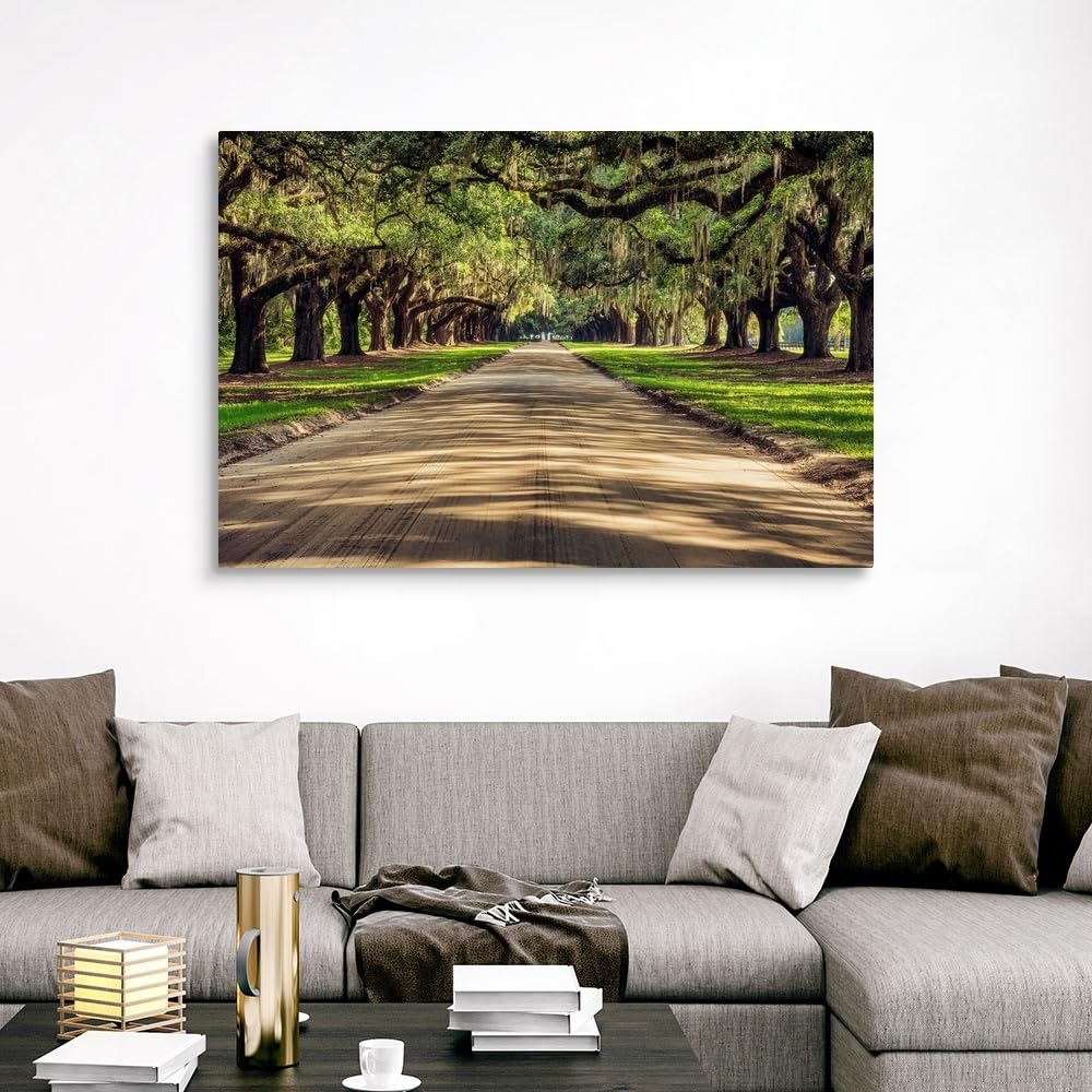 CANVAS ON DEMAND Oak Tree Lined Road At Boone Hall Plantation, Charleston Canvas Wall Art Print by Scott Stulberg, Home Decor, United States Artwork,60" x40in