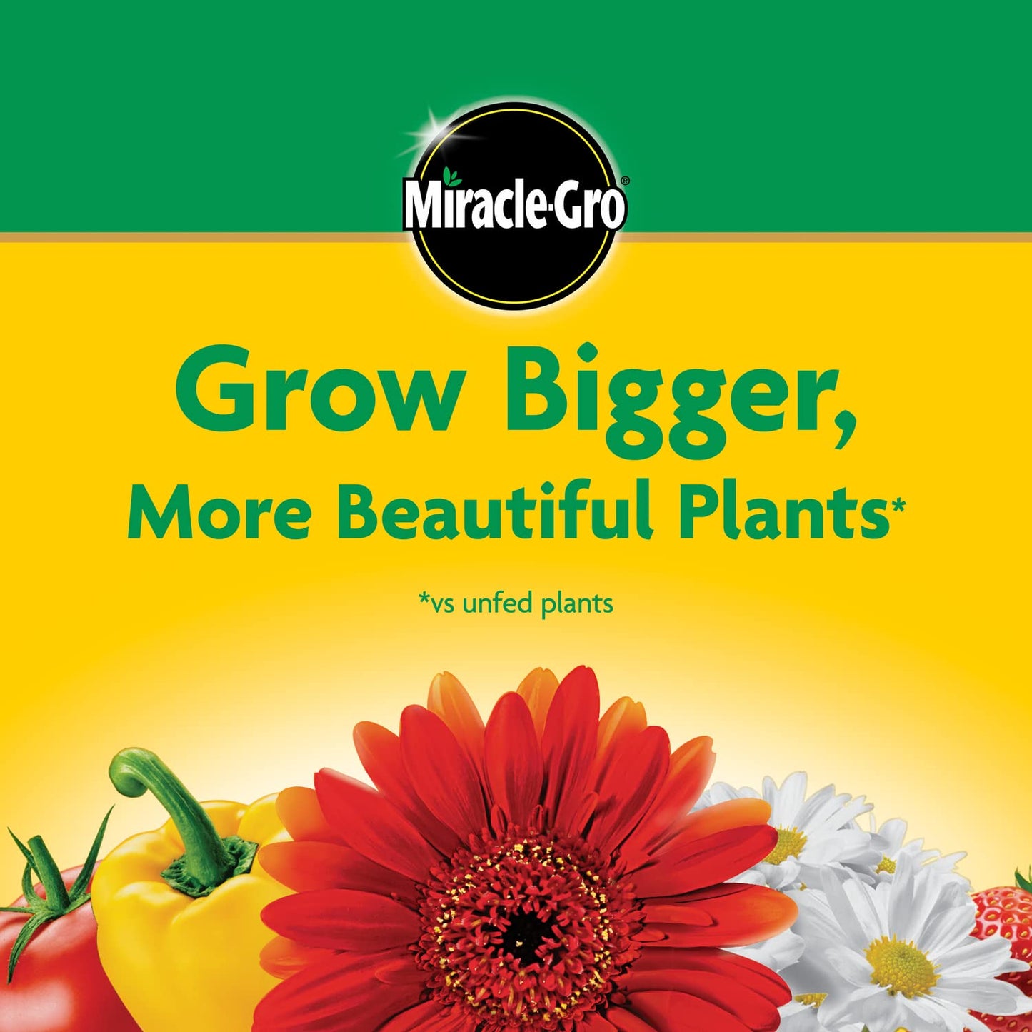 Miracle-Gro All-Purpose Plant Food - Water Soluble Fertilizer for Indoor & Outdoor Plants | 6.25 lbs