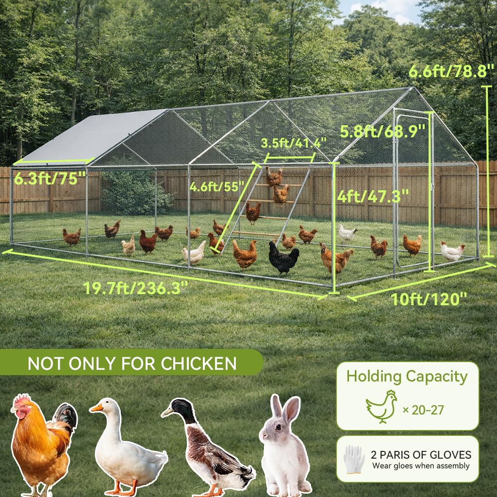 COMHOMA 19.7×10×6.6FT Large Metal Chicken Coop with Roosting Perch,Walk-in Chicken Run with Waterproof Roof & Lockable Door,Outdoor Poultry Cage for Hens,Ducks,Rabbits