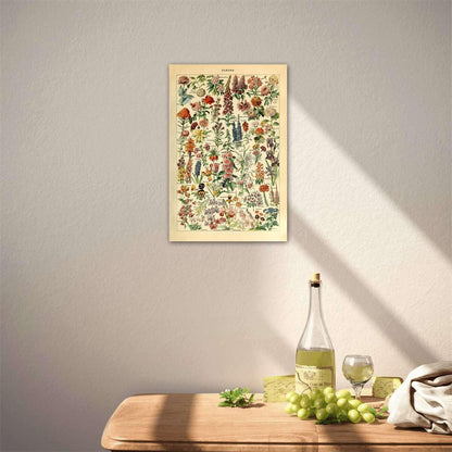 Meishe Art Vintage Poster Print - Flower Floral Botanical Collections Garden Flowers Identification Reference Chart