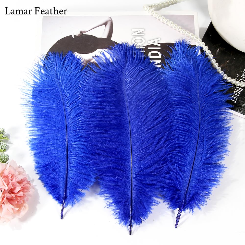 Lamar 20Pcs 12-14'' Blue Ostrich Feathers for Decoration, Wedding Centerpieces, Crafts, Festival, Party, Carnival, Floral Arrangement, Bohemian Home Decor (Royal Blue)