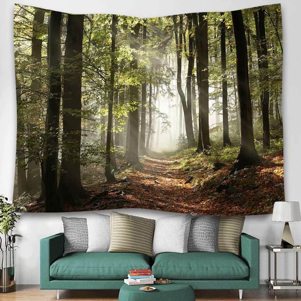 DZGlobal Forest Pathway in Misty Mountain Tapestry, Nature Landscape Wall Hanging Art for Living Room Bedroom Kitchen