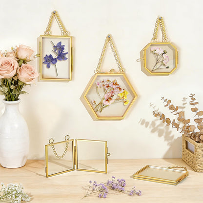 5 Pcs Mini Gold Double Glass Frame for Pressed Flower Frames, 2x3.2 In Wall Hanging Picture Frames with Metal Chain, Horizontal Vertical Floating Glass Picture Frame for Plants Artwork Display