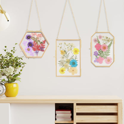 Lujechii 3 Pcs Double Glass for Pressed Flowers,Clear Brass Embossed Frame with Dried Flowers and Tweezers,Can Be Used for Dried Flower Plant Photo Postcards Wall Mounted Glass Pressed Flower Frame