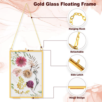 Barydat 12 Pack Pressed Flowers Glass Frames, 5 x 7 Inch Brass Hanging Floating Frame with Chain, Double Glass Photo Display for Dried Flowers, Plant Specimen, Artwork Display (Gold)