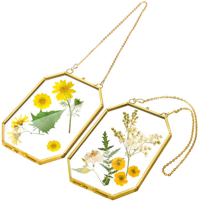 AVLA 3 Pack Pressed Flowers Glass Frames, Small Brass Floating Frame with Chain, Golden Hanging Picture Frame, Clear DIY Handmade Home Wall Decor for Displaying Artwork Dried Plant Specimen