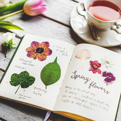 Nuanchu 223 Pcs Real Dried Pressed Flowers for Crafts Natural Dried Leaves and Butterfly Stickers Set Colorful Daisy Flowers and Adhesive Butterfly Decals for DIY Resin Jewelry Nail Crafts Floral Art