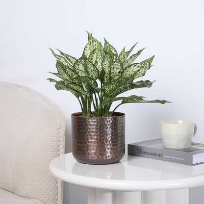 MyGift 6 Inch Vintage Copper Tone Metal Vase, Flower Pot with Hammered Texture, Cylindrical Indoor Succulent Plant Container - Handcrafted in India