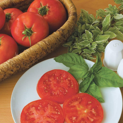 50 Burpee 'Supersteak' Hybrid | Large Red Beefsteak Slicing Tomato | Seeds