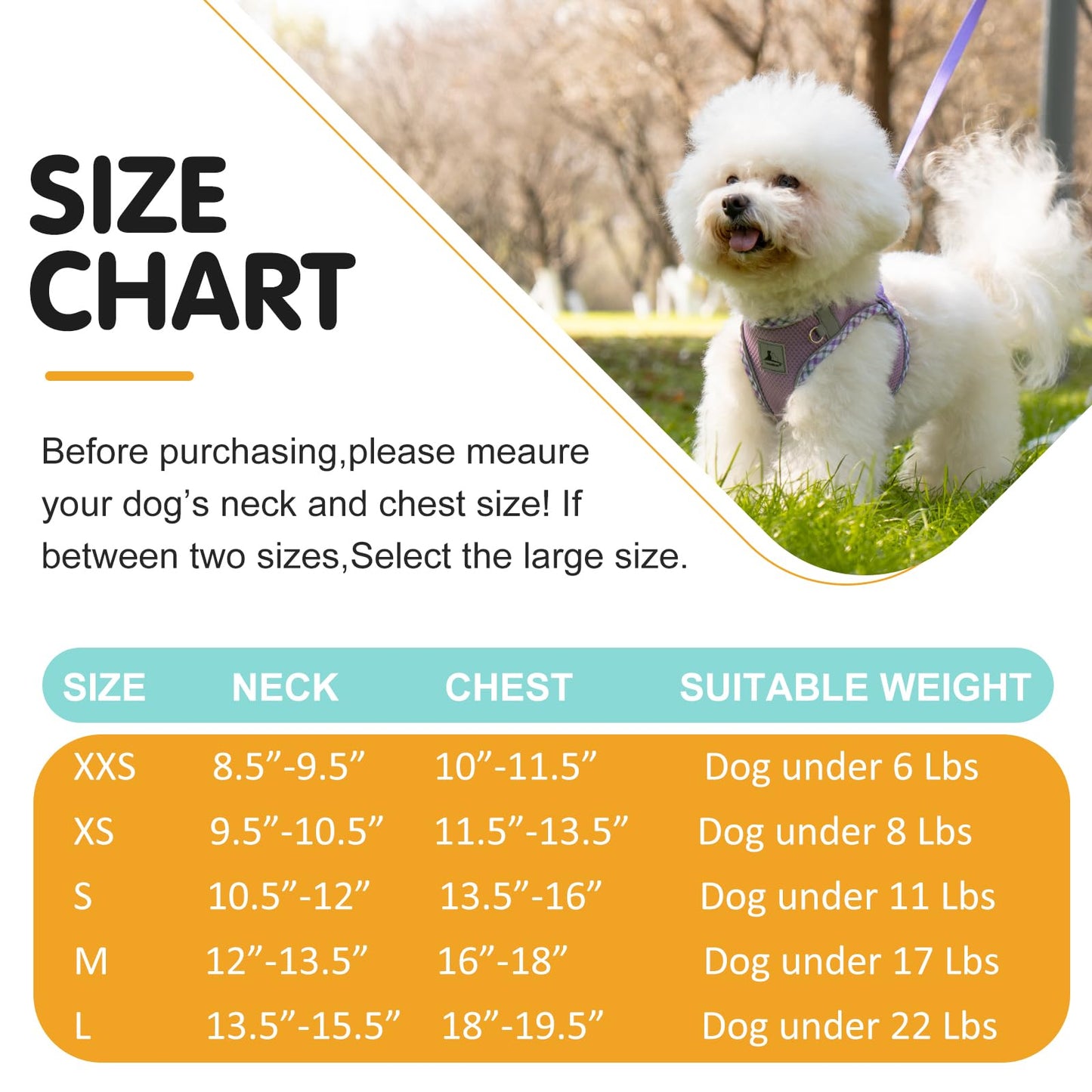 TomteNisse Dog Harness and Leash Set - No Pull Soft Breathable Small Dog Harness, Adjustable Reflective Step in Vest for Puppy, Kitten, Cats