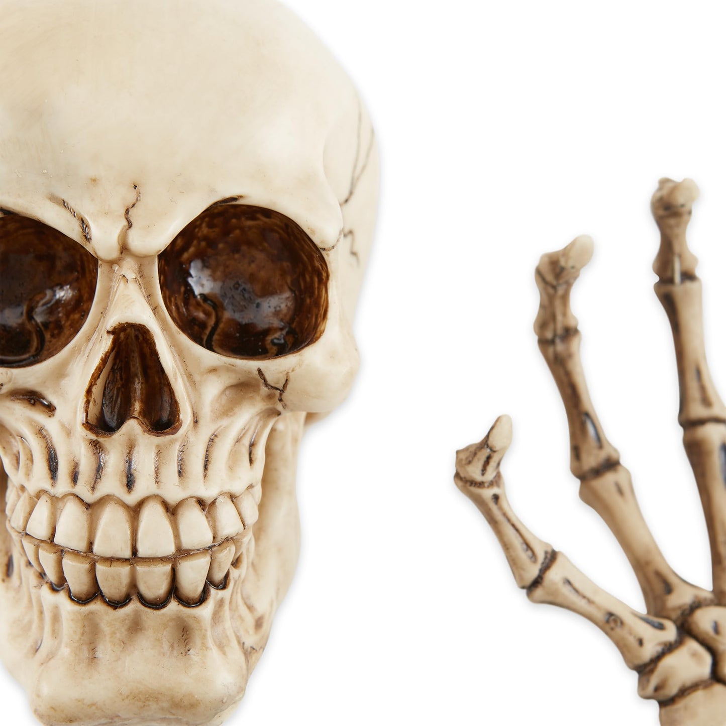 Dragon Crest Skeleton Wall Decor Set 3.87x3x5.75