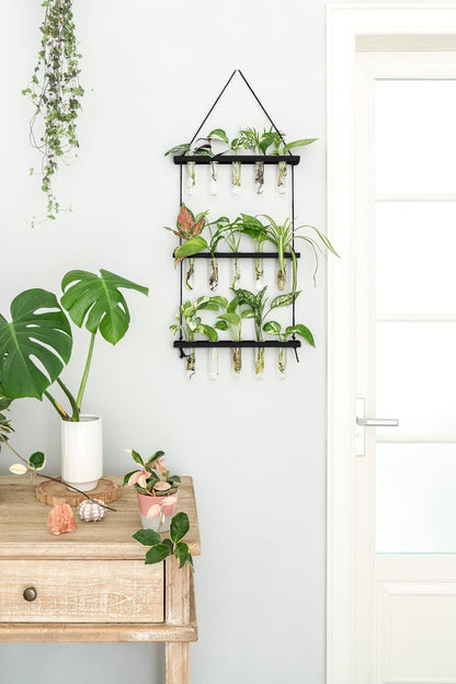 Mkono 3 Tiered Wall Hanging Plant Terrarium with Wooden Stand Mini Test Tube Flower Vase Glass Planter for Hydroponic Plant Cutting Home Garden Office Decor Gift