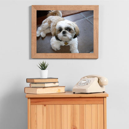 Shih Tzu Dog Diamond Painting Kits for Adults DIY 5D Diamond Painting Arts Craft for Home Wall Decor Birthday Gifts 30x40cm/12x16in