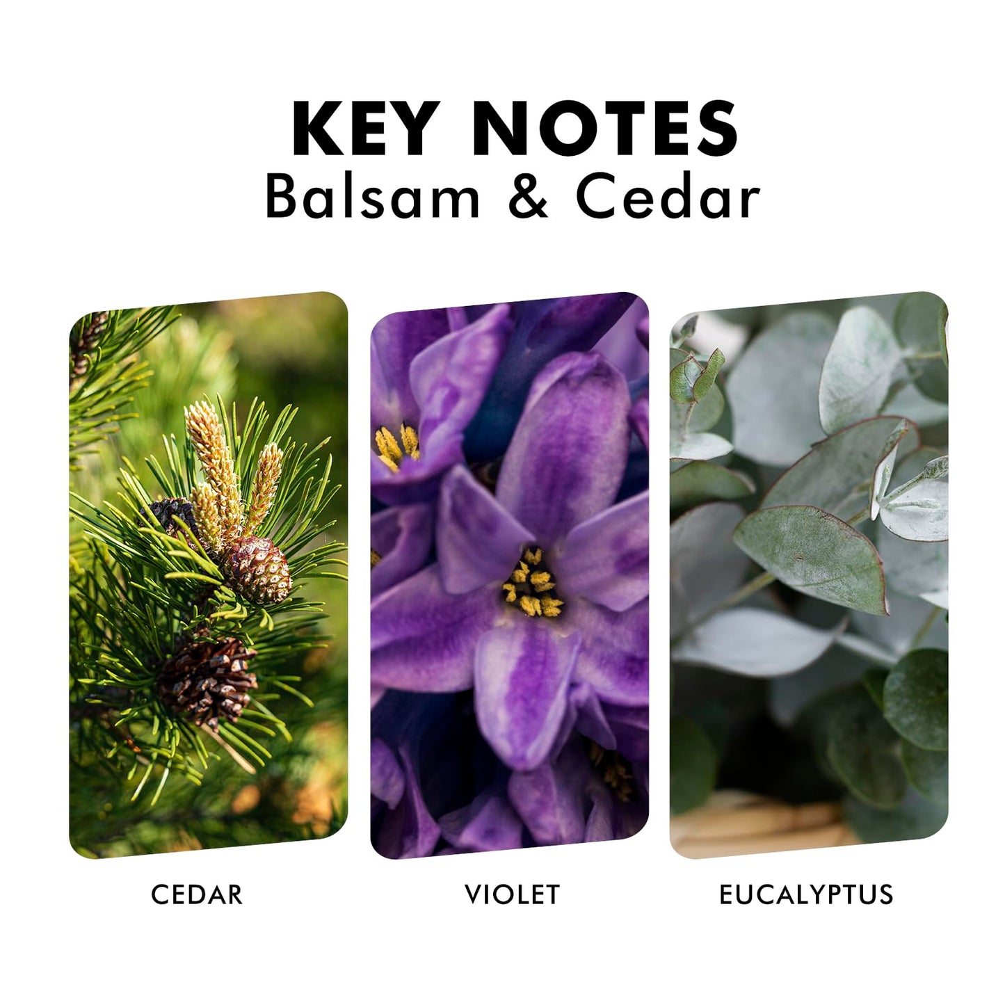 Reed Diffusers Set, 3.7 Oz Scent Diffuser, 6 Reed Diffuser Sticks, Home Fragrance Hyacinth, Peony & Citrus, Aromatherapy Oil Diffuser Reeds, More Masculine Scent, Bathroom & Office Decor 110ml