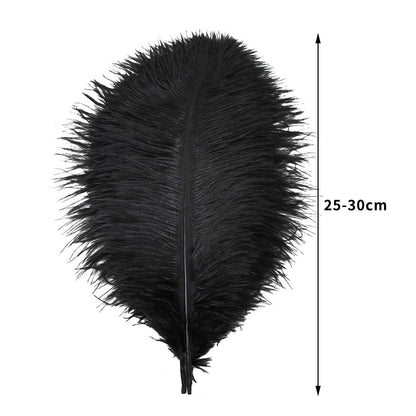 Ballinger 8-12inch 4 Styles 24Pcs Assorted Pheasant Feathers and 24 Pcs 10-12inch Black Ostrich Feaathers for Crafting Vase Hat Wedding Autumn Party Decor