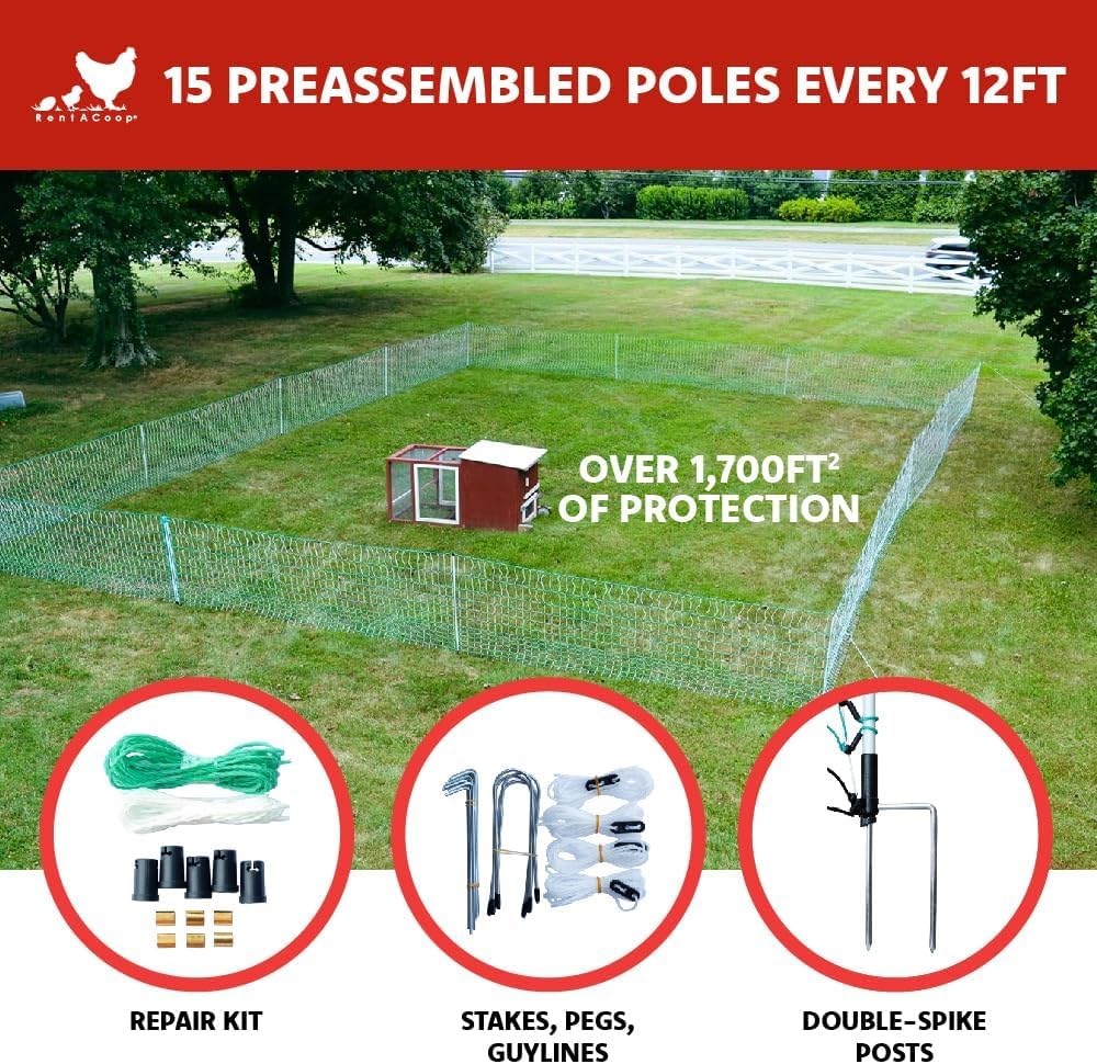 RentACoop Poultry Netting Electric Fence - Electric Poultry Enclosure for Chickens, Ducks, Turkeys - Suitable for 4 Week Old Chickens/Older and Adult Poultry - Energizer Not Included - 168' L x 48" H