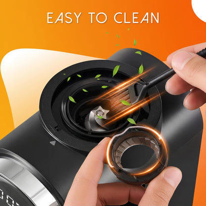 Ollygrin Conical Burr Coffee Grinder Electric, Compact Coffee Grinder for Home Use,Burr Mill Grinder with 30 Precise Grinding Sizes, Touch Panel, Removable Burr & Coffee Container, 2-12 Cups