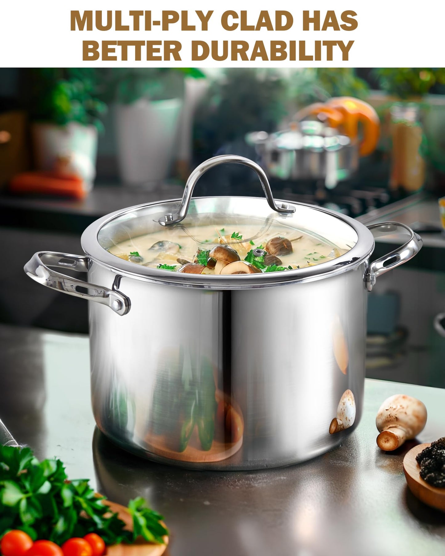Cooks Standard Stainless Steel Stock Pot, 8-Quart Multi-Ply Clad Cooking Canning Pot with Lid, Induction Stockpot, Silver