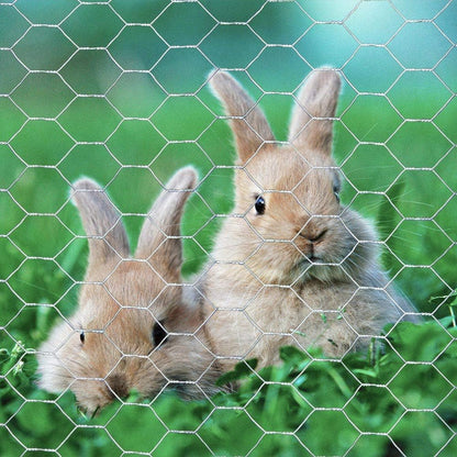 20GA 36 inches 25 1 inch Galvanized Hexagonal Poultry Netting Chicken Wire x feet x Mesh