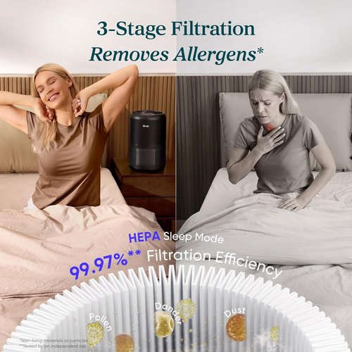 LEVOIT Air Purifier - HEPA Filter for Home Allergies & Pets | Covers Up to 1073 ft², Black, 2 Pack