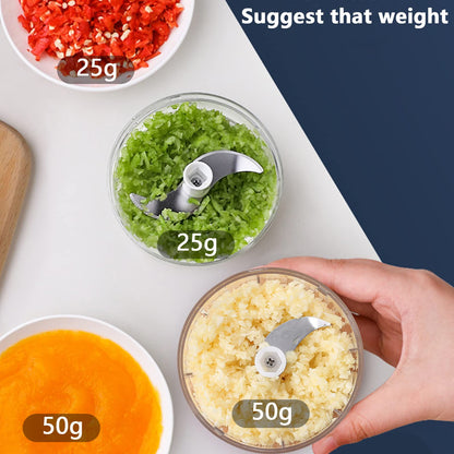 Electric Mini Garlic Chopper, 100ML Food Chopper Garlic Mincer USB, Portable Small Food Processor for Vegetables