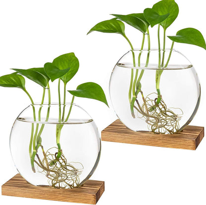 2-Pack, Kingbuy Round Glass Desktop Planter with Wooden Stand - Propagation Station for Small Hydroponic Plants, Spider