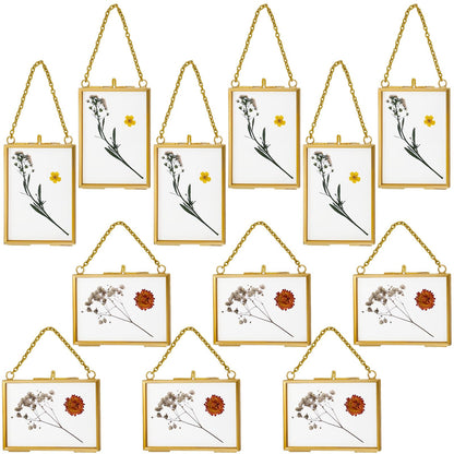 Kigley Double Glass Frame for Pressed Flowers Floating Hanging Photo Frame Gift for Graduation Mother's Day 3.5 x 2.5 in Brass Clear Decor with Chain for Display Gallery Artwork (Gold,12 Pcs)