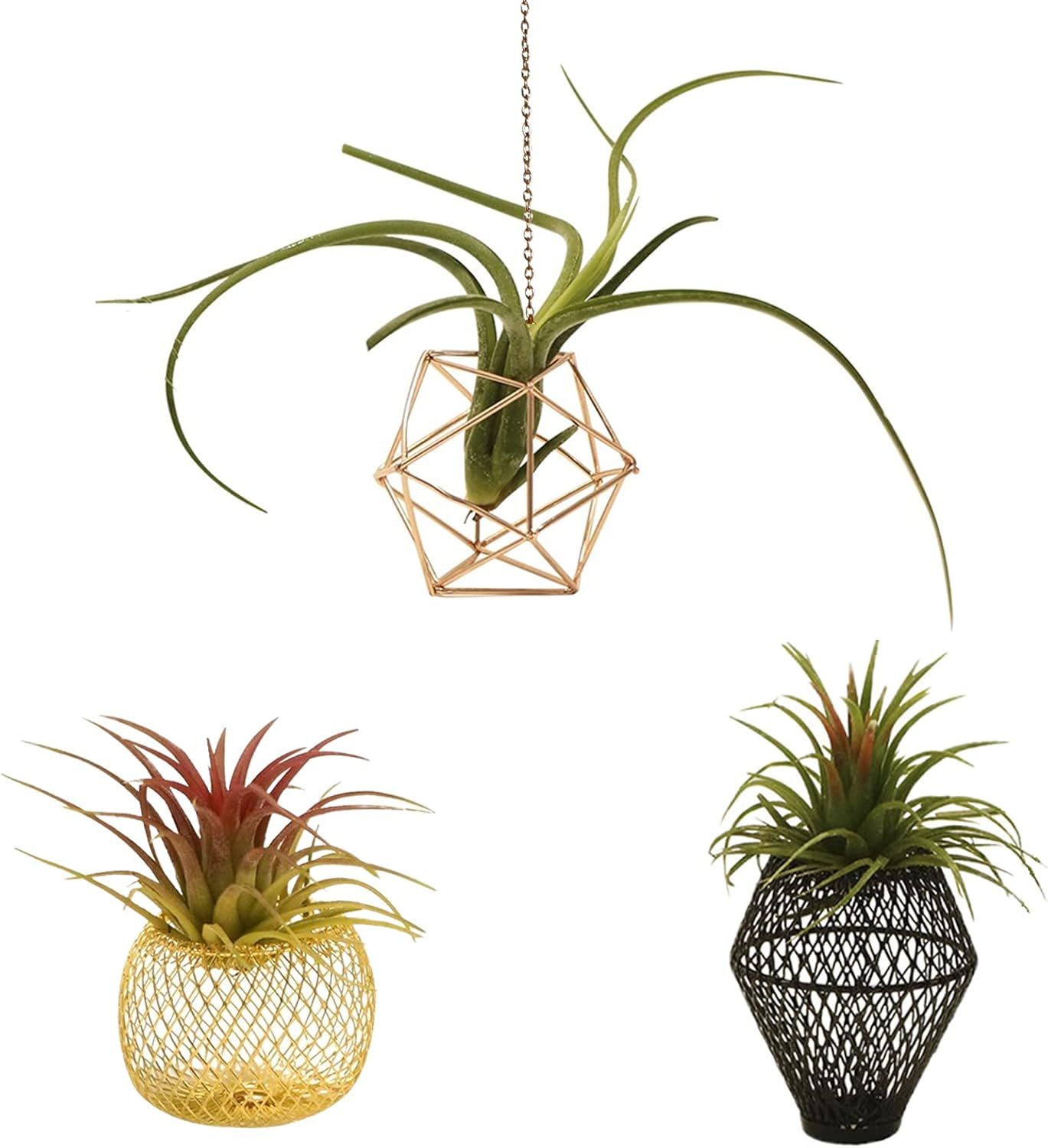 ROJAX Pack 3 3 5 5 of Air Plant Metal Stand, Black, Rose Gold, Indoor/Outdoor, in H x in W x in D
