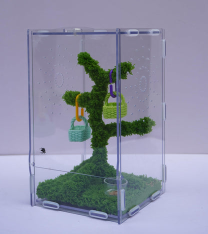 Jinymral Jumping Spider Enclosure Kit with Acrylic Habitat, Feeding Tongs & Decor – 8.66"x5.12"x4.72" Ventilation Terrarium for Pet Spiders, Reptiles & Small Arboreal Pets