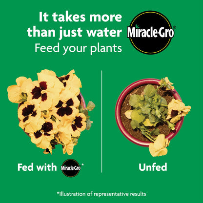 Miracle-Gro Shake 'N Feed All Purpose Plant Food - Feeds Indoor & Outdoor Plants for 3 Months | 8 lbs.