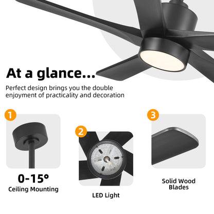 WINGBO 48 Inch DC Ceiling Fan with Lights and Remote Control, 5 Carved Solid Wood Blades, 6-Speed Noiseless Reversible DC Motor, Indoor Ceiling Fan in Matte Black Finish with Black Blades