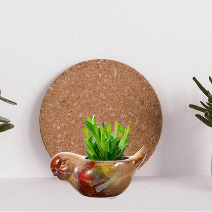 INOOMP Ceramic Succulent Planter Pot Bird Design Indoor and Outdoor Flower Pot Small Size Glazed Ceramic for Succulents and Cacti Decorative Tabletop Planter