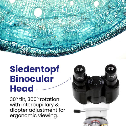 AmScope B120 Series Student & Professional LED Binocular Compound Microscope - 40X-2500X Magnification - Includes 0.3MP USB 2.0 Camera & Siedentopf Head