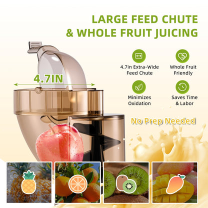 Flyseago Commercial 300W Cold Press Juicer Machines - Dual Outlet for Juice & Pulp, High Yield, Masticating Juicers, Heavy Duty Stainless Steel, Quiet Motor, Easy Clean for Restaurants, Bars