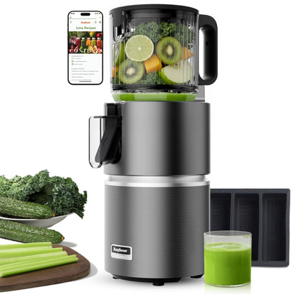 Anybear Cold Press Juicer with 4.9" Large Feed Chute, 350W Masticating Juicer Machines with Dual Slow-Squeezing Technology for Whole Fruits & Veggies with High Yield | BPA-Free Tritan(Dark Grey)