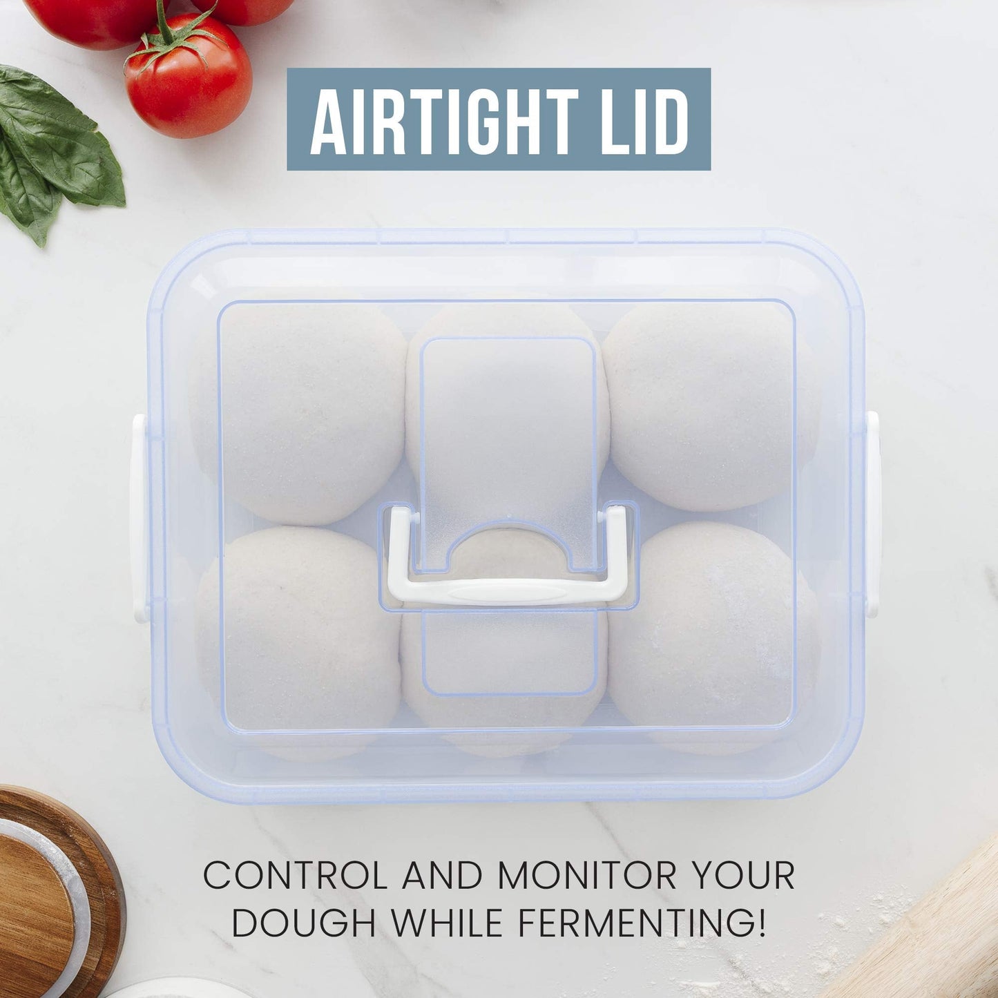 Chef Pomodoro Pizza Dough Proofing Box, 14 x 11-Inch, Preparation Container with Lid, Fits 4-6 Proofing Balls, Household Pizza and Bread Dough Tray With Convenient Carry Handle (Blue)