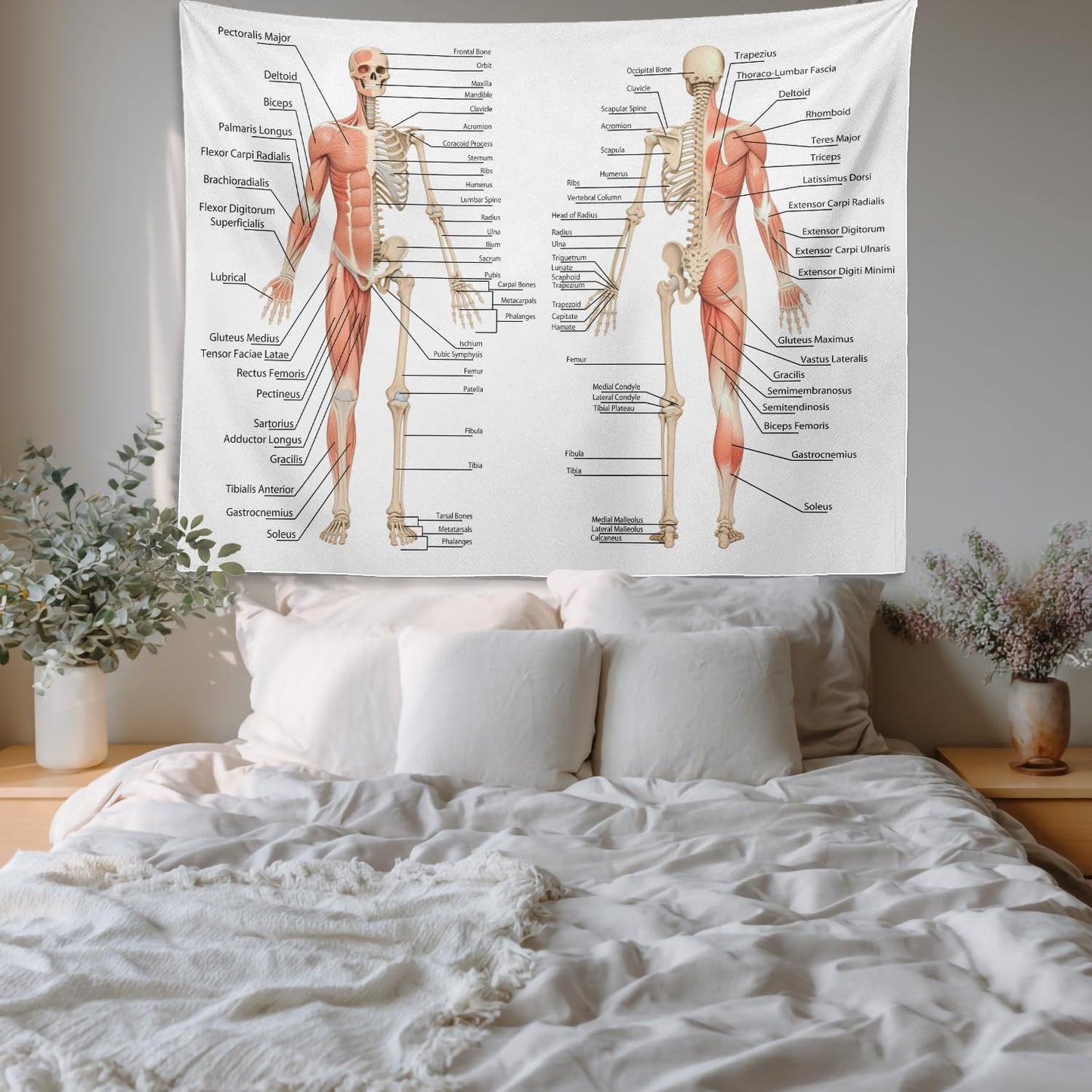 Batmerry Skeleton Tapestry, Body Human Skeleton Anatomy Backbone Biology Board Bone Picnic Mat Hippie Trippy Tapestry Wall Art Decor for Bedroom Living Room, 51.2 x 59.1 Inches, Human Anatomy