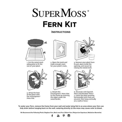 SuperMoss (90471) Mounted Fern Kit DIY - Create Your Own Living Wall Art, Customizable Wooden Frame with Moss, Ideal for Indoor & Outdoor Plant Decor, Kitchen, Balcony, & Home Office, 6” x 6”, Natural