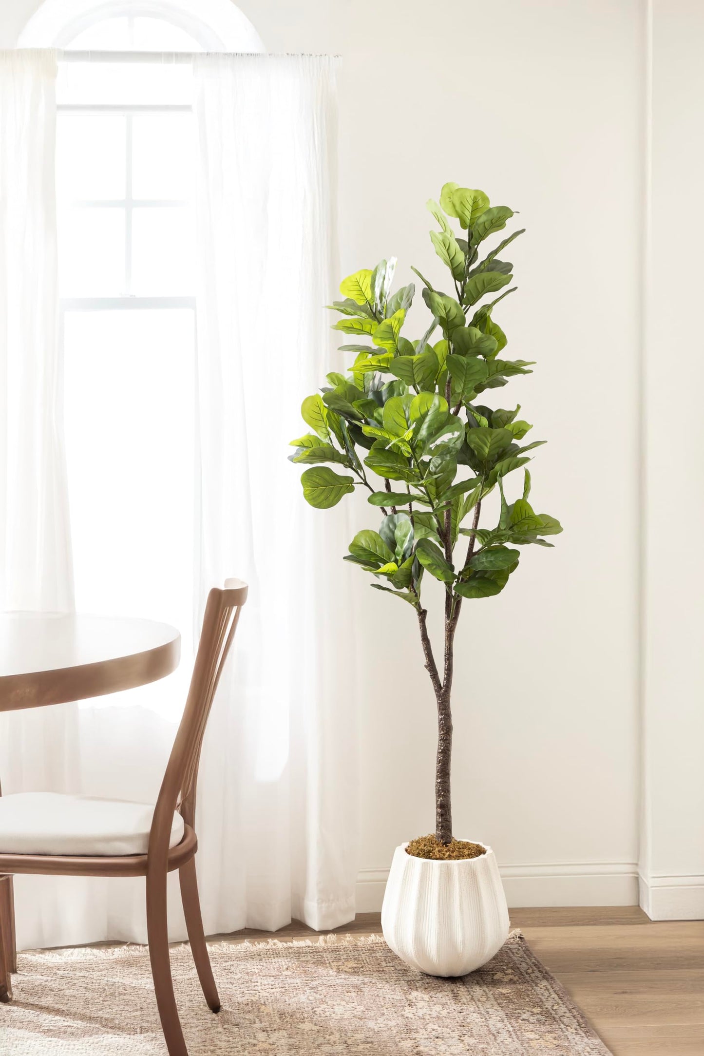 Kate and Laurel Fidmont Faux Fiddle Fig Tree with Claudel Scalloped Planter Pot, 6 FT, White, Potted Artificial Tree Indoor with Realistic Foliage and Added Moss, Fake Plant for Living Room Decor