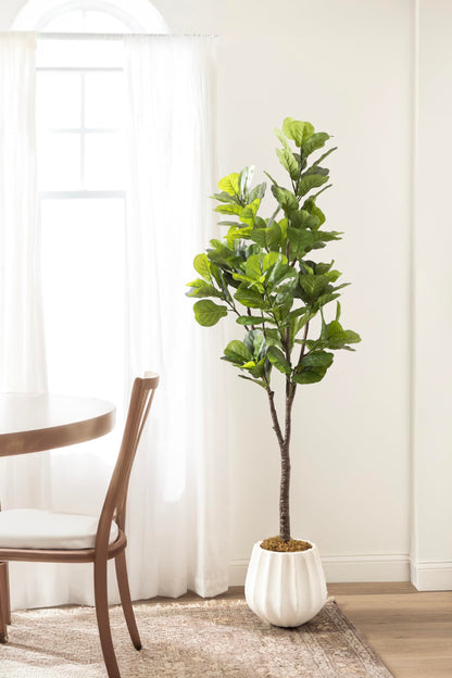 Kate and Laurel Fidmont Faux Fiddle Fig Tree with Claudel Scalloped Planter Pot, 6 FT, White, Potted Artificial Tree Indoor with Realistic Foliage and Added Moss, Fake Plant for Living Room Decor
