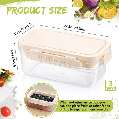 3 Sets Snackle Box with Removable Reusable Ice Pack, Separate Food Containers No Mixing Smells, Clear Cooling Charcuterie Lunch Box Organizer Bulk for Meal Prep, Travel, Beach & Picnic, Outdoor Party
