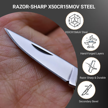 JPCRMOV Mini Folding Pocket Knife, Abalone Shell Handle, Keychain EDC Tool, 1.06” Blade, Ultra Lightweight 9g, Small Box Opener for Daily Carry
