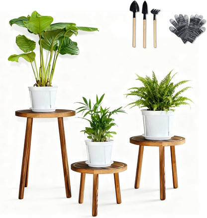 AMVAQKER 3 6-15 Inch PCS Wood Plant Stands Indoor, Three Sizes of Plant Stands Suitable for Pots, Single Plant Holder