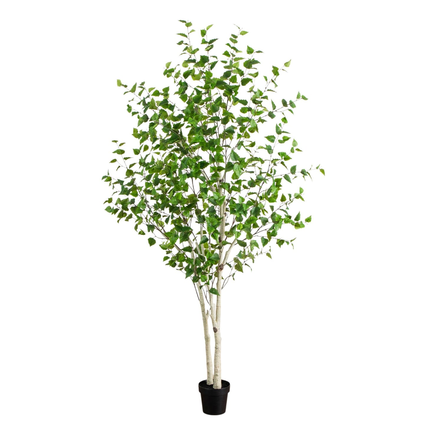 Nearly Natural 8ft Artificial Birch Tree with Real Touch Leaves - Indoor Fake Tree for Home Decor - Flexible Branches for Custom Look