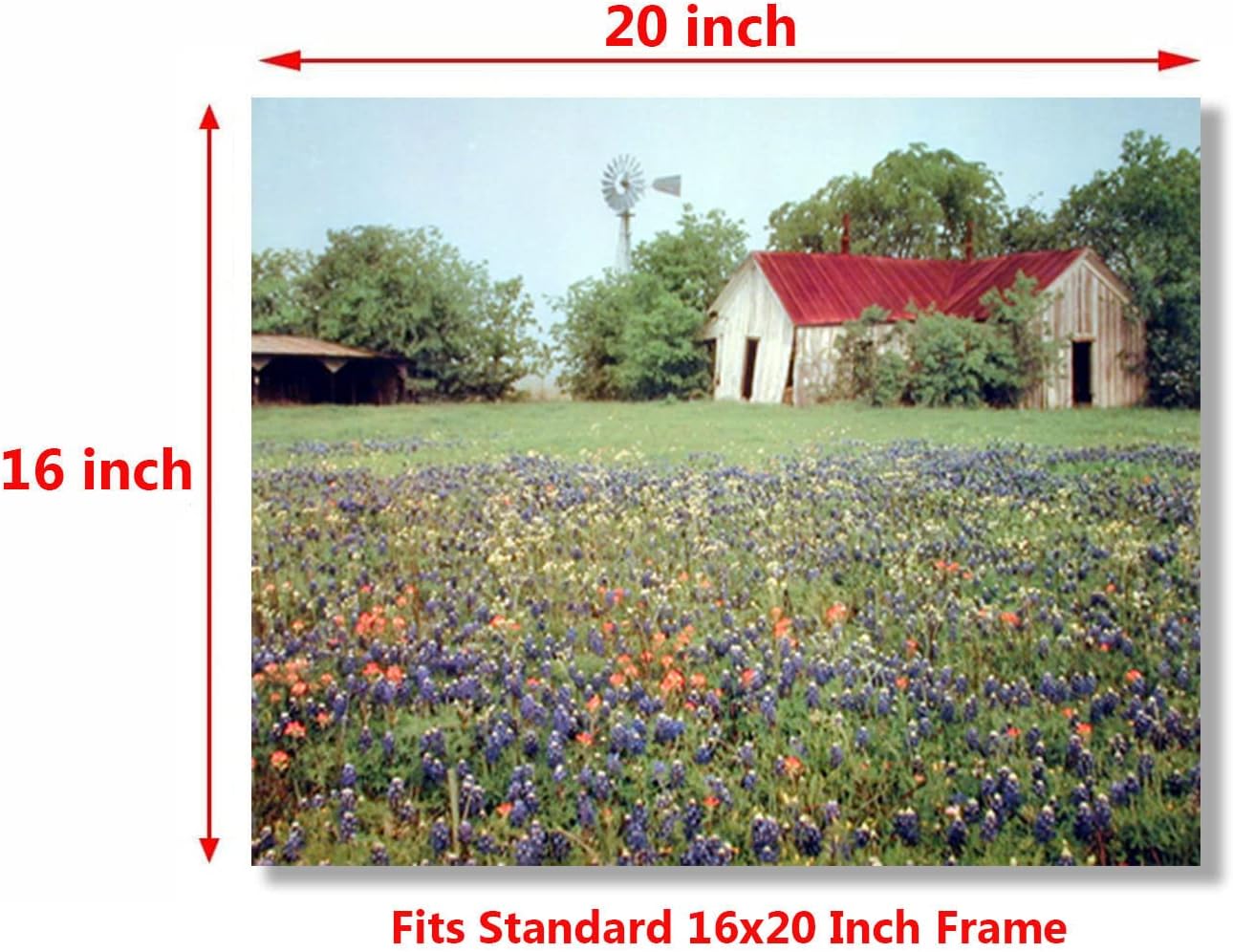 Old Barn & Flowers Field Scenery Nature Landscape Wall Decor Art Print (16x20)